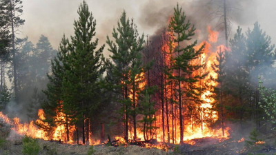 На Київщині надзвичайний рівень пожежної небезпеки утримається до14 квітня (ФОТО)