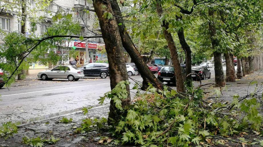 На правому березі Дніпра гілка впала на дорогу.